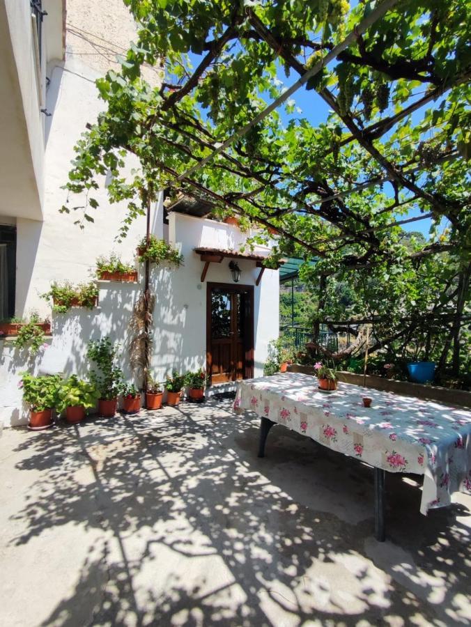 Eden Tra I Limoni Apartment Minori Exterior photo